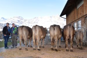 ZF OB Koebi BONITA Trb Tanja und Hans Engelberg B73